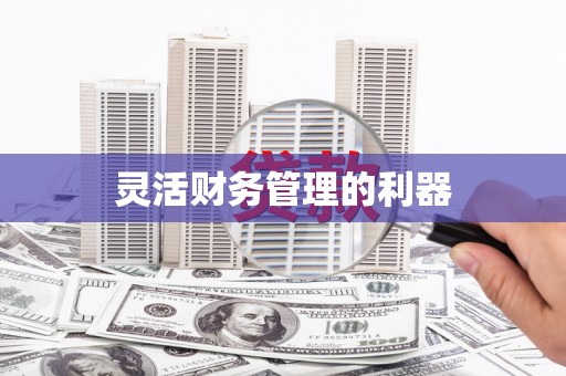 岱山灵活财务管理的利器