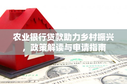 岱山农业银行贷款助力乡村振兴，政策解读与申请指南