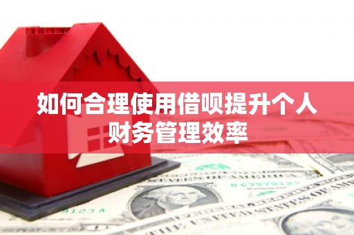 岱山如何合理使用借呗提升个人财务管理效率