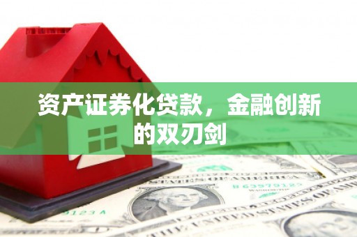 岱山资产证券化贷款，金融创新的双刃剑