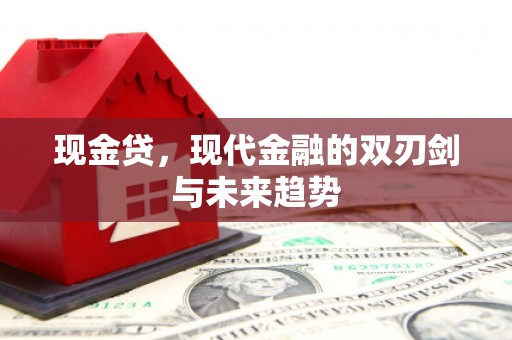岱山现金贷，现代金融的双刃剑与未来趋势