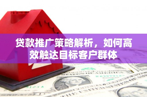 岱山贷款推广策略解析，如何高效触达目标客户群体