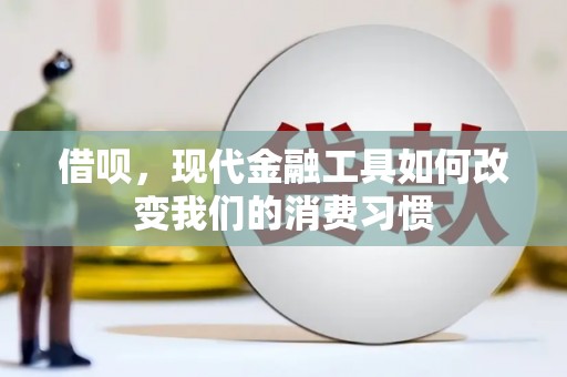 岱山借呗，现代金融工具如何改变我们的消费习惯