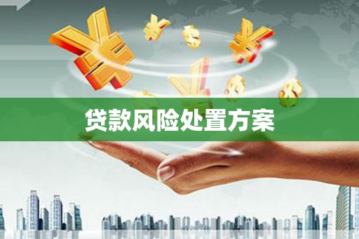 岱山贷款风险处置方案