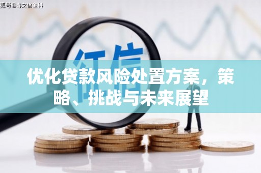 岱山优化贷款风险处置方案，策略、挑战与未来展望