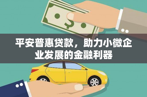 岱山平安普惠贷款，助力小微企业发展的金融利器