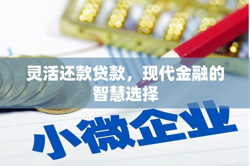 岱山灵活还款贷款，现代金融的智慧选择