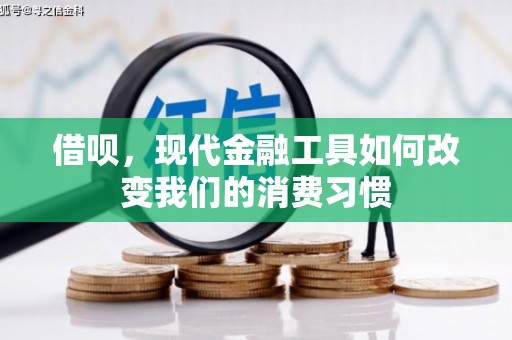 岱山借呗，现代金融工具如何改变我们的消费习惯
