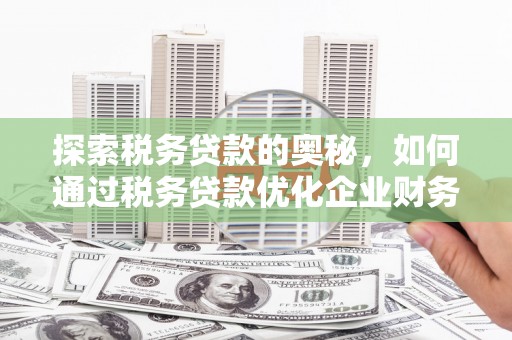 岱山探索税务贷款的奥秘，如何通过税务贷款优化企业财务