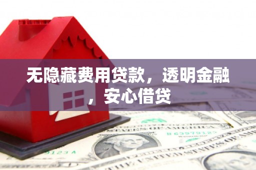岱山无隐藏费用贷款，透明金融，安心借贷