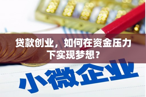 岱山贷款创业，如何在资金压力下实现梦想？