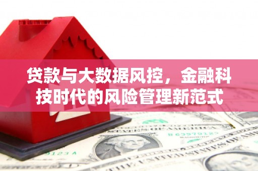 岱山贷款与大数据风控，金融科技时代的风险管理新范式