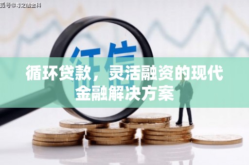 岱山循环贷款，灵活融资的现代金融解决方案