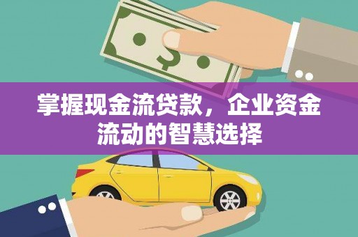 岱山掌握现金流贷款，企业资金流动的智慧选择