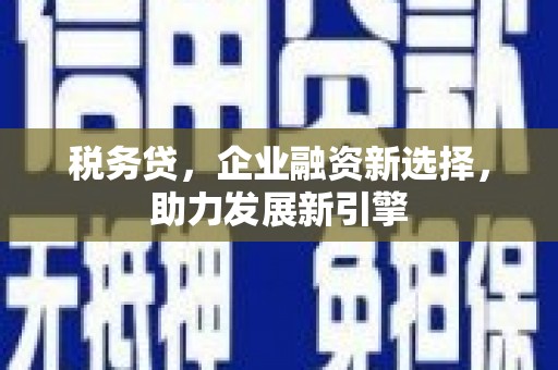 岱山税务贷，企业融资新选择，助力发展新引擎