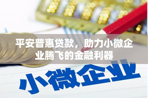 岱山平安普惠贷款，助力小微企业腾飞的金融利器