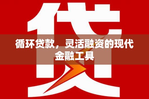 岱山循环贷款，灵活融资的现代金融工具