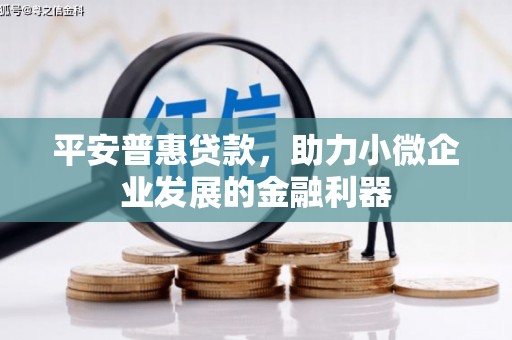 岱山平安普惠贷款，助力小微企业发展的金融利器