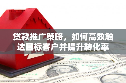 岱山贷款推广策略，如何高效触达目标客户并提升转化率