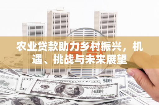 岱山农业贷款助力乡村振兴，机遇、挑战与未来展望