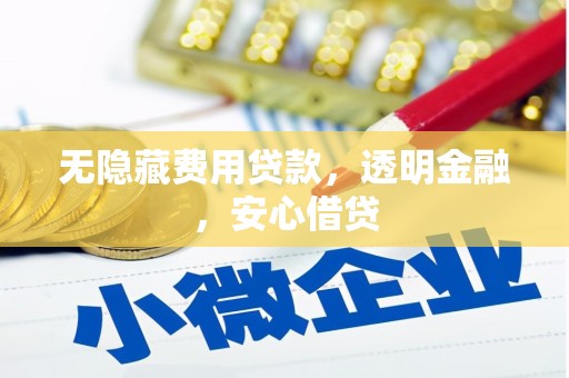 岱山无隐藏费用贷款，透明金融，安心借贷