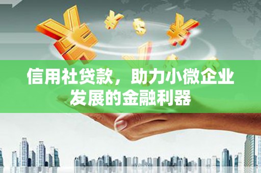 岱山信用社贷款，助力小微企业发展的金融利器