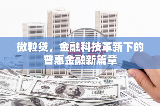 岱山微粒贷，金融科技革新下的普惠金融新篇章