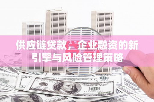 岱山供应链贷款，企业融资的新引擎与风险管理策略