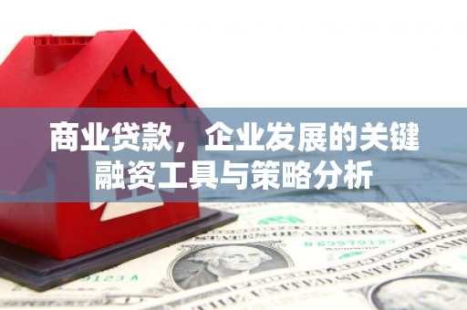 岱山商业贷款，企业发展的关键融资工具与策略分析