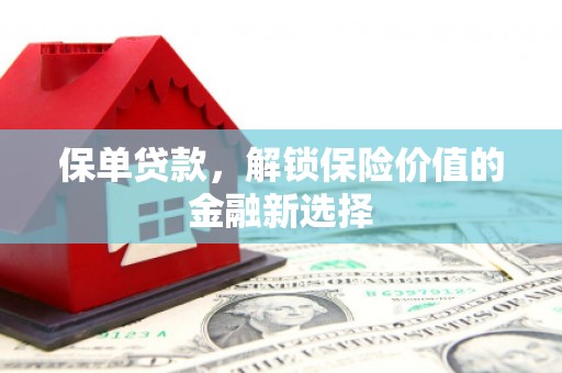 岱山保单贷款，解锁保险价值的金融新选择
