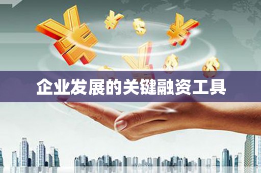 岱山企业发展的关键融资工具