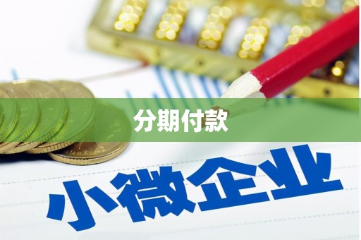 岱山分期付款