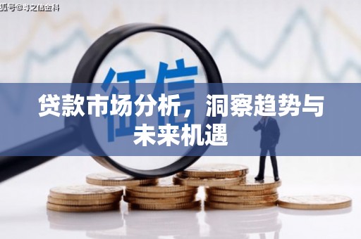 岱山贷款市场分析，洞察趋势与未来机遇