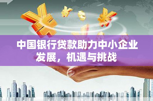 岱山中国银行贷款助力中小企业发展，机遇与挑战