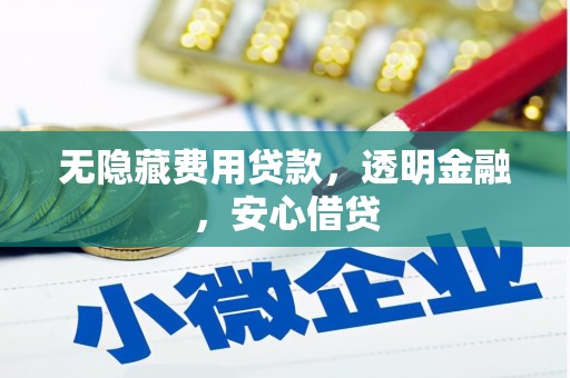 岱山无隐藏费用贷款，透明金融，安心借贷