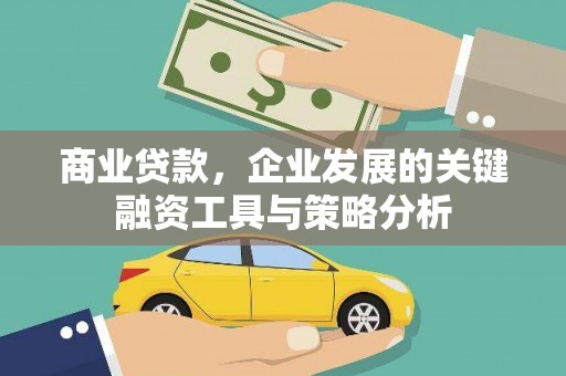 岱山商业贷款，企业发展的关键融资工具与策略分析