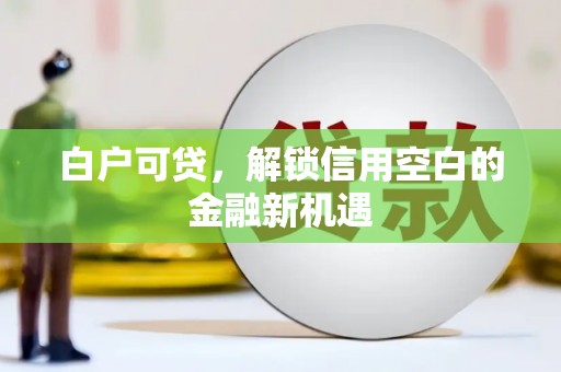 岱山白户可贷，解锁信用空白的金融新机遇