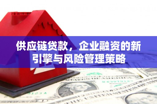 岱山供应链贷款，企业融资的新引擎与风险管理策略