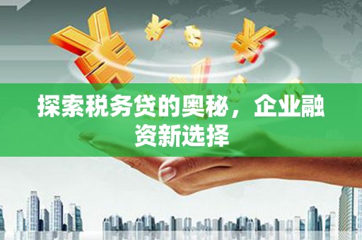 岱山探索税务贷的奥秘，企业融资新选择
