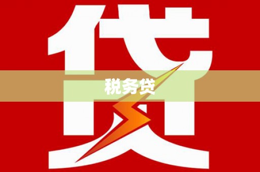 岱山税务贷