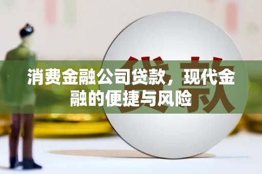 岱山消费金融公司贷款，现代金融的便捷与风险