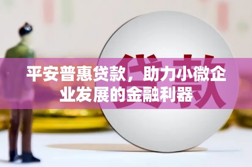 岱山平安普惠贷款，助力小微企业发展的金融利器