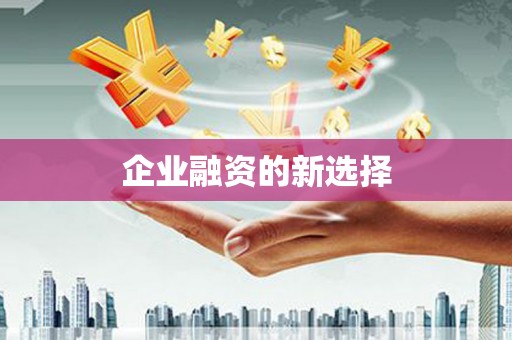 岱山企业融资的新选择