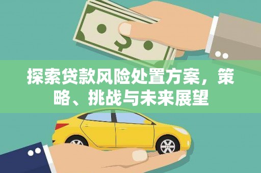 岱山探索贷款风险处置方案，策略、挑战与未来展望