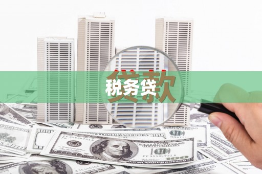 岱山税务贷