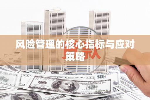 岱山风险管理的核心指标与应对策略