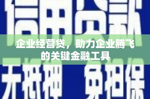 岱山企业经营贷，助力企业腾飞的关键金融工具
