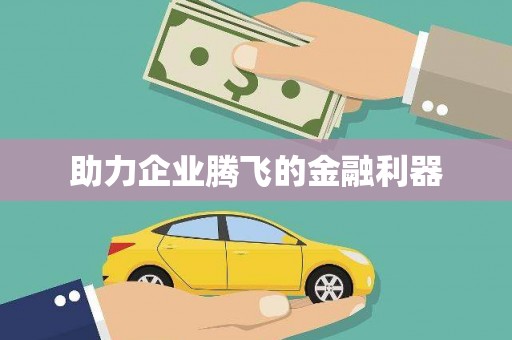 岱山助力企业腾飞的金融利器