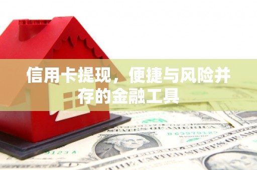 岱山信用卡提现，便捷与风险并存的金融工具