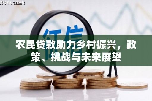 岱山农民贷款助力乡村振兴，政策、挑战与未来展望